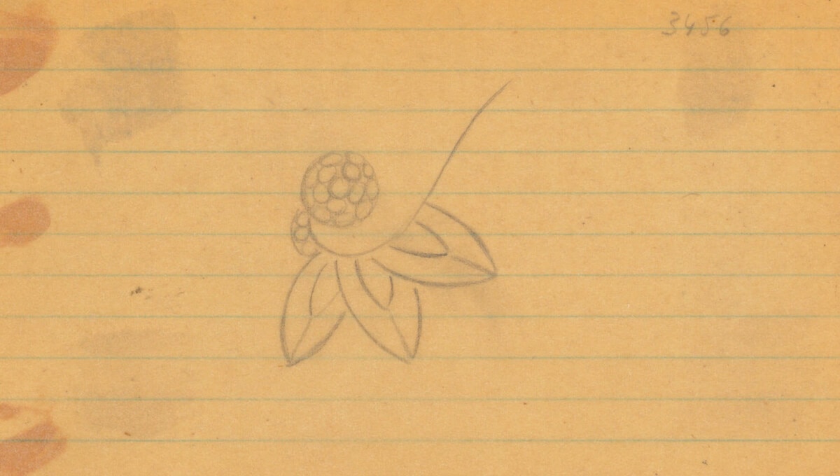 Sketch of the Lily Cluster motif